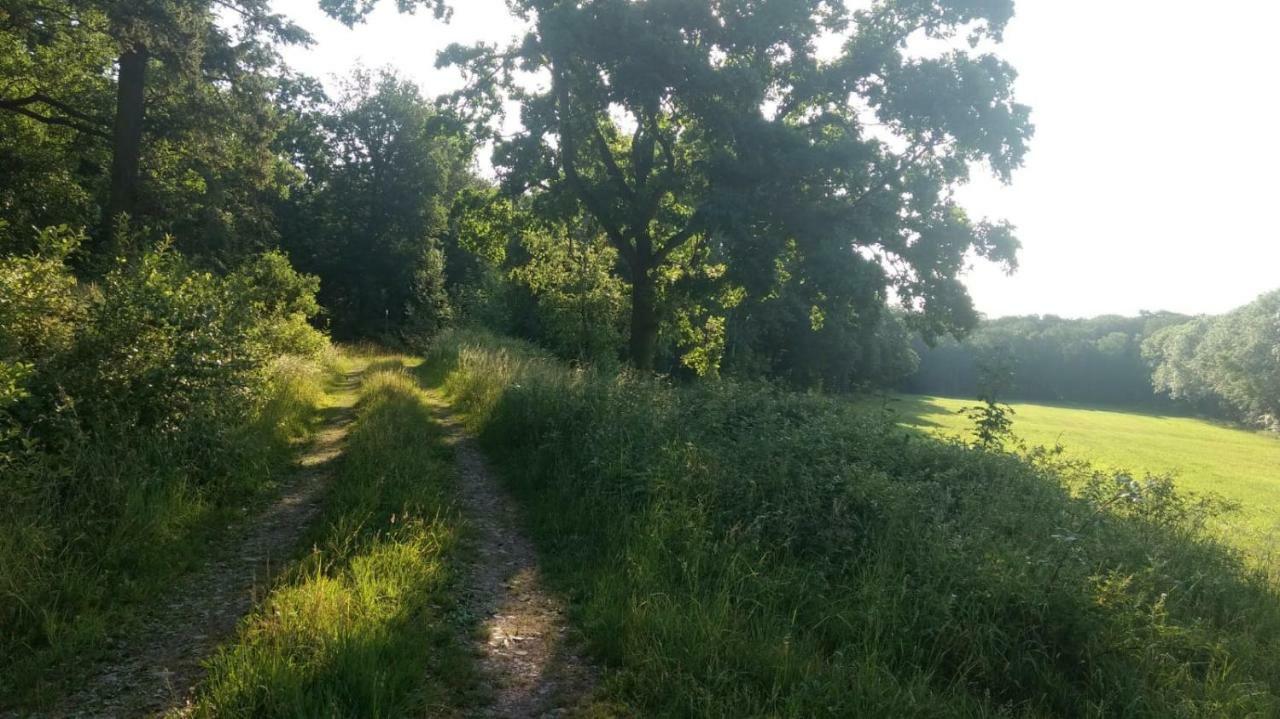 Ziegeleihof Inmitten Von Wiesen Und Waeldern Degenershausen 外观 照片